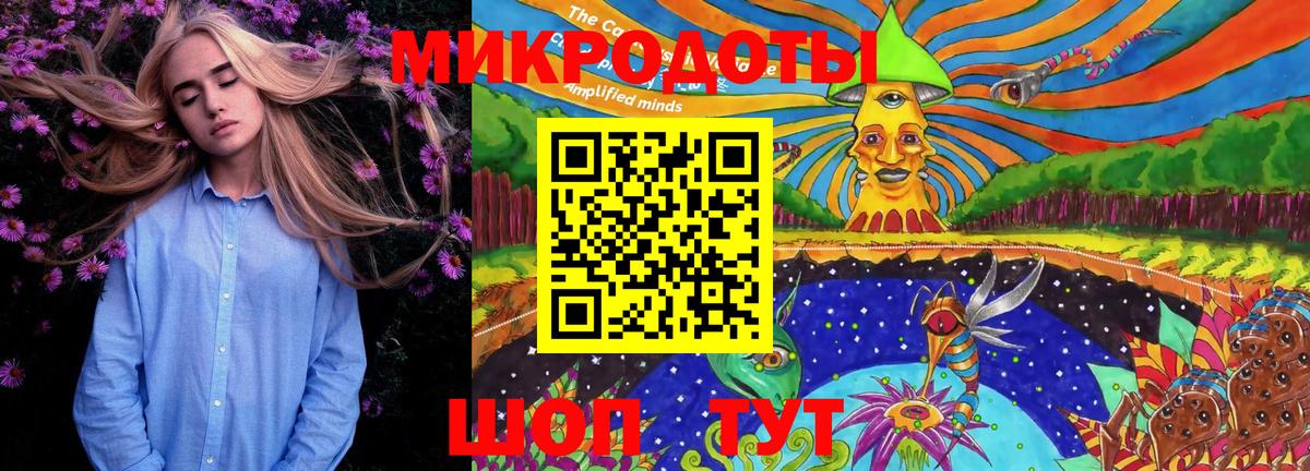 Псилоцибиновые грибы Psilocybine cubensis Ирбит
